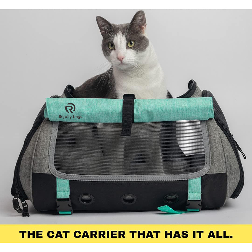 Travel Cat Carrier Bag - Portable Comfort Soft Sided Transpurrter Cat Carrier for Small Medium Cats Backpack with Shoulder Strap Pet Bag RJ206119