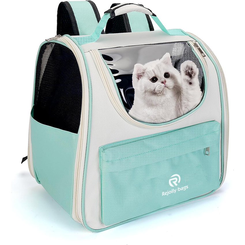 Cat Bag Carrier,Small Dog Backpack,Airline Approved Pet Backpack Carrier,Clear Backpack for Cats Puppy Kitten Bunny Bird,Outdoor Hiking Pet Bag RJ206113