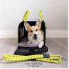 Airline Compliant Pet Carrier, Travel Bag & Car Seat. Includes Leash. Stylish. Durable Pet Bag RJ206101
