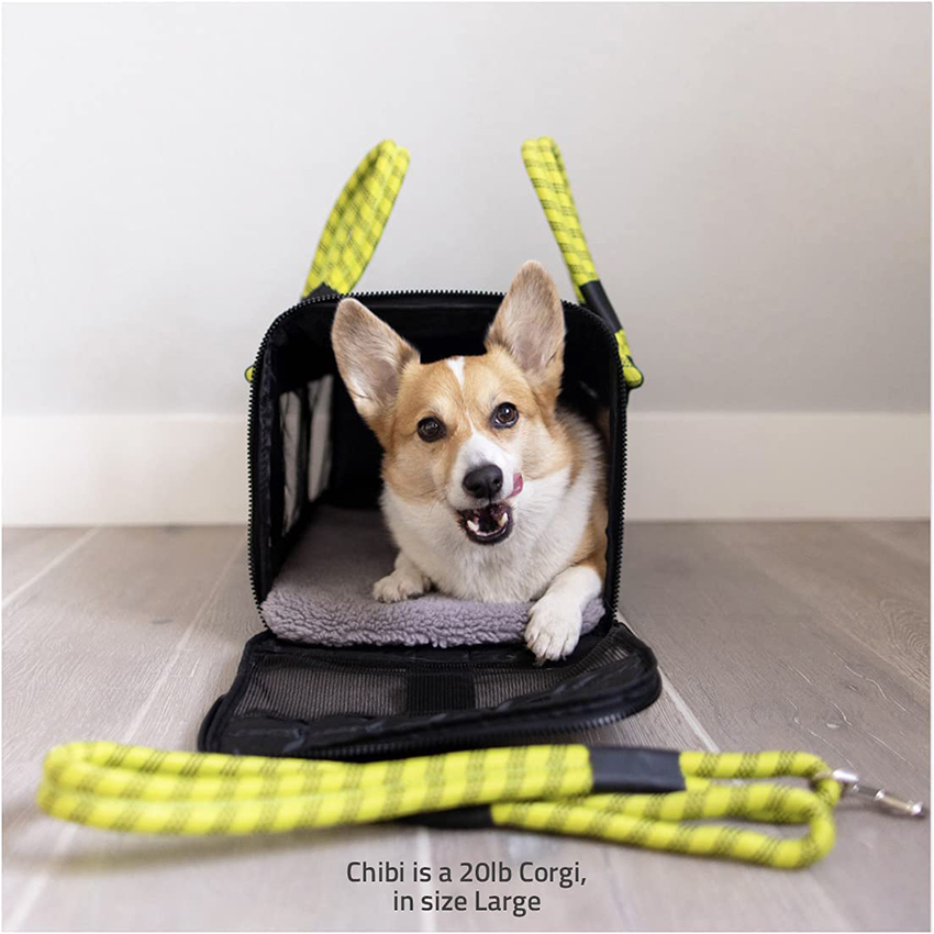 Airline Compliant Pet Carrier, Travel Bag & Car Seat. Includes Leash. Stylish. Durable Pet Bag RJ206101