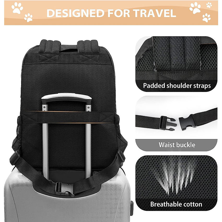 Cat Carrier for Small Cats and Dogs, Puppies, Cat Backpack for Carrying Cats Pet Bag RJ206107