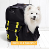Travel Carrier Bag, Compliant Pet Backpack Complies with the in-cabin requirements of most major airlines Includes Laptop Storage Pet Bag RJ206118