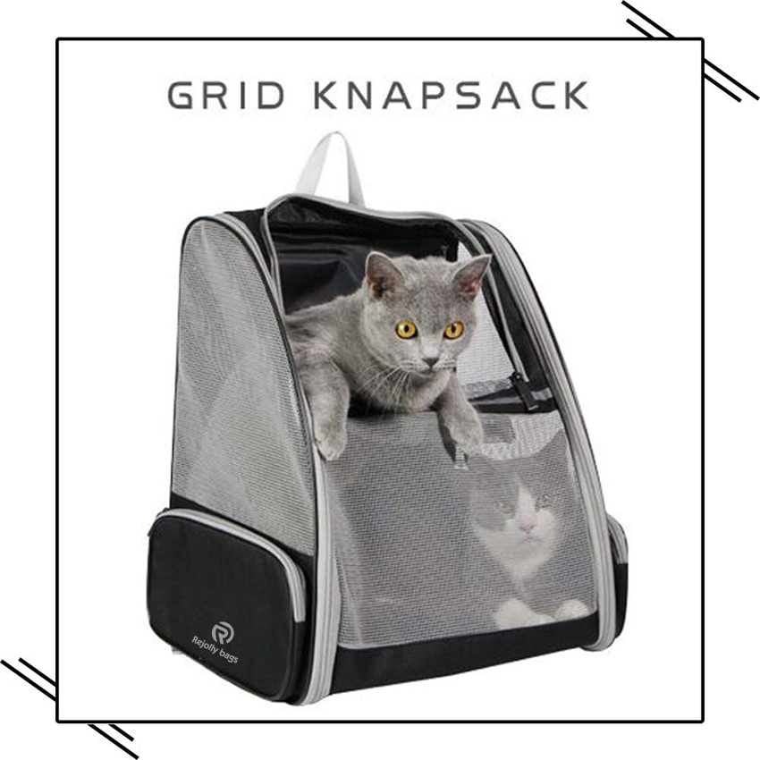 Innovative Traveler Bubble Backpack Pet Carriers for Cats and Dogs Durable Pet Bag RJ206102