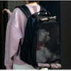 Cat Carrier for Small Cats and Dogs, Puppies, Cat Backpack for Carrying Cats Pet Bag RJ206107