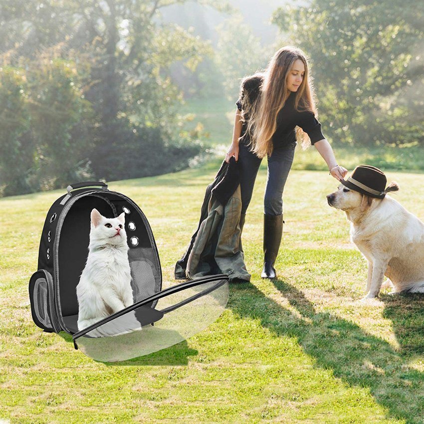 Cat Pet Carrier Bubble Bag Small Dog Backpack Space Capsule Travel Carrier