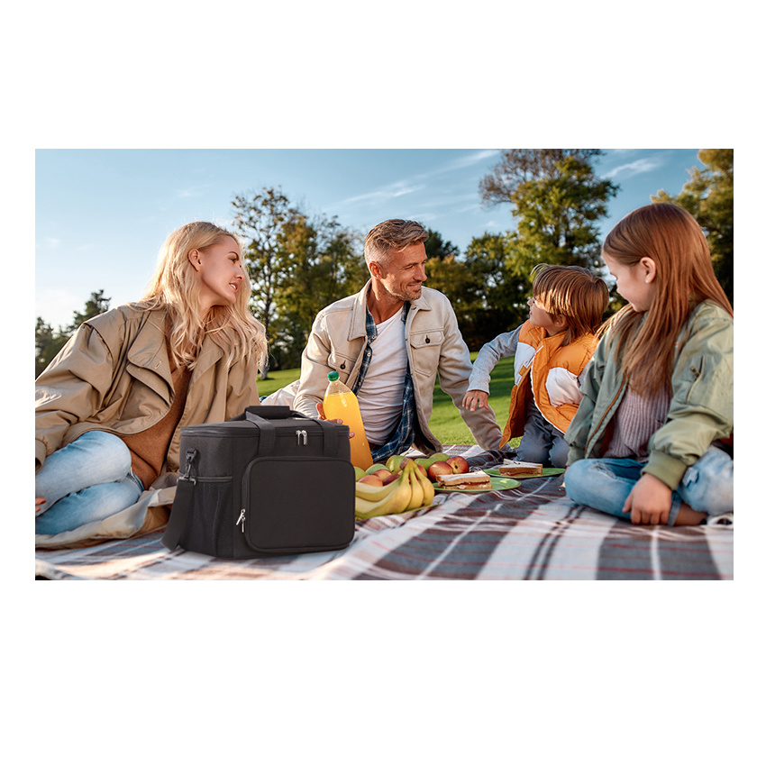 Collapsible Cooler Bag Insulated Travel Lunch Bag Food Delivery Bag