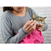 Cat in The Bag Cozy Comfort Carrier Small to Large 8 Color Options Cat Bag Pet Carrier for Grooming Vet Visits Medication Administration Dental