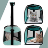 Pet Carrying Case Pet Airline Approved Portable Collapsible Carrier Dog Carrier RJ206124