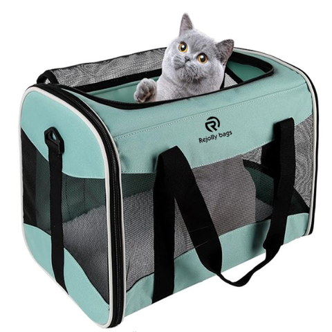 Pet Carrying Case Pet Airline Approved Portable Collapsible Carrier Dog Carrier RJ206124