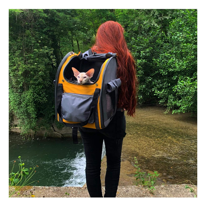 Dog Travel Carrier Backpack Puppy Outdoor Backpack Ventilated Pet Bag