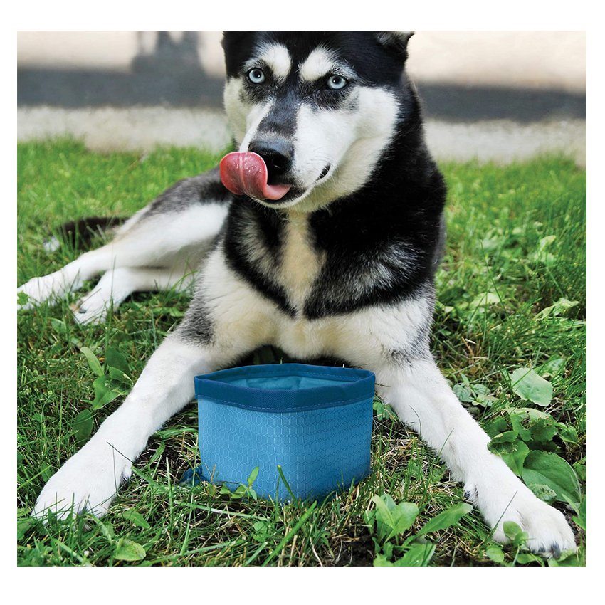 Machine Washable Collapsible Travel Dog Bowl Pet Food Hiking Water Bowl Pets Travel Accessories