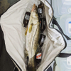 Insulated Fish Cooler Bag Monster Leakproof Fish Kill Bag, Large Portable Waterproof Fish Bag