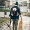 Dog Backpack Bag Front Carrier for Small Puppy with Breathable Head out Design and Padded Shoulder for Hiking Outdoor Travel