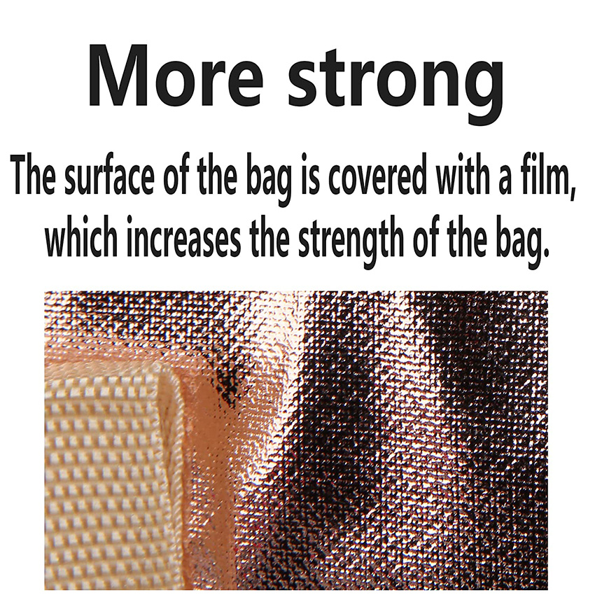 Extra Cooler Insulated Grocery Shopping Bag Reusable Heavy Duty Zipped Zipper Collapsible Tote Men Women for Car Recycled