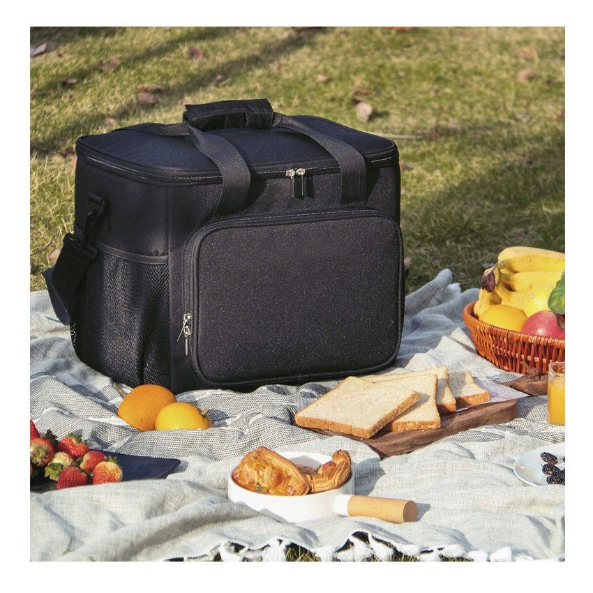 Collapsible Cooler Bag Insulated Travel Lunch Bag Food Delivery Bag