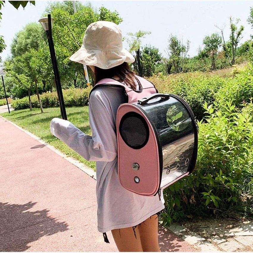 Sports Pet Travel Backpack Completely Transparent Bubble Design Waterproof Hand Pet Bag