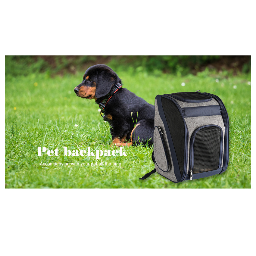 Professional Pets Carrying Backpacks Breathable Dog Carrier Bag Wholesale Pet House