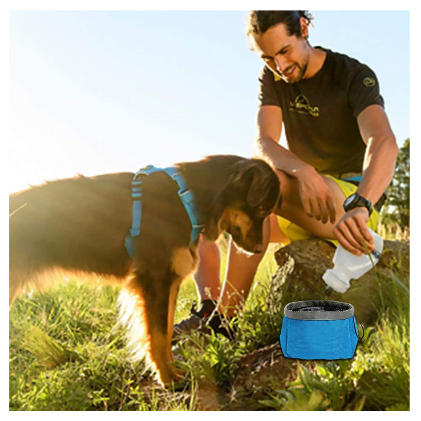 Collapsible Dog Food Tote Bag Portable Travel Dog Bowl Kit for Food