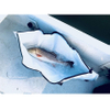 Insulated Fish Cooler Bag Monster Leakproof Fish Kill Bag, Large Portable Waterproof Fish Bag