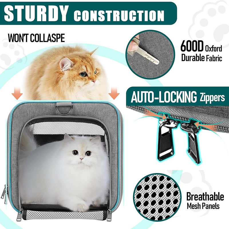 Pet Bag for Large Cats 20 Lbs Soft Sided Dog Travel Carrier RJ206126