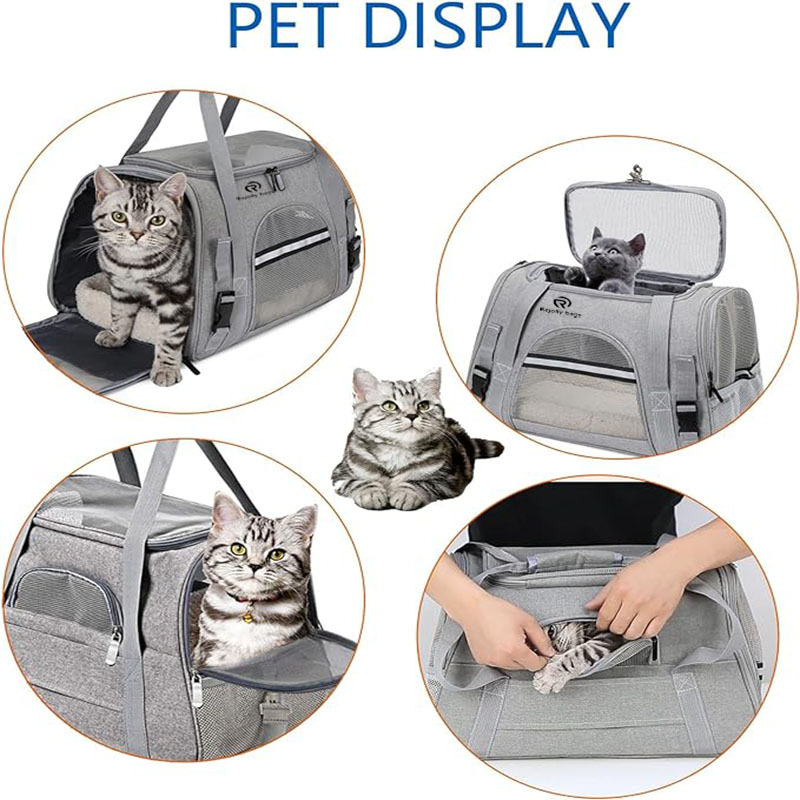 Pet Carrier Cat Dog Bag Travel Portable Fashion Airline Approved Duffle Bags RJ206125