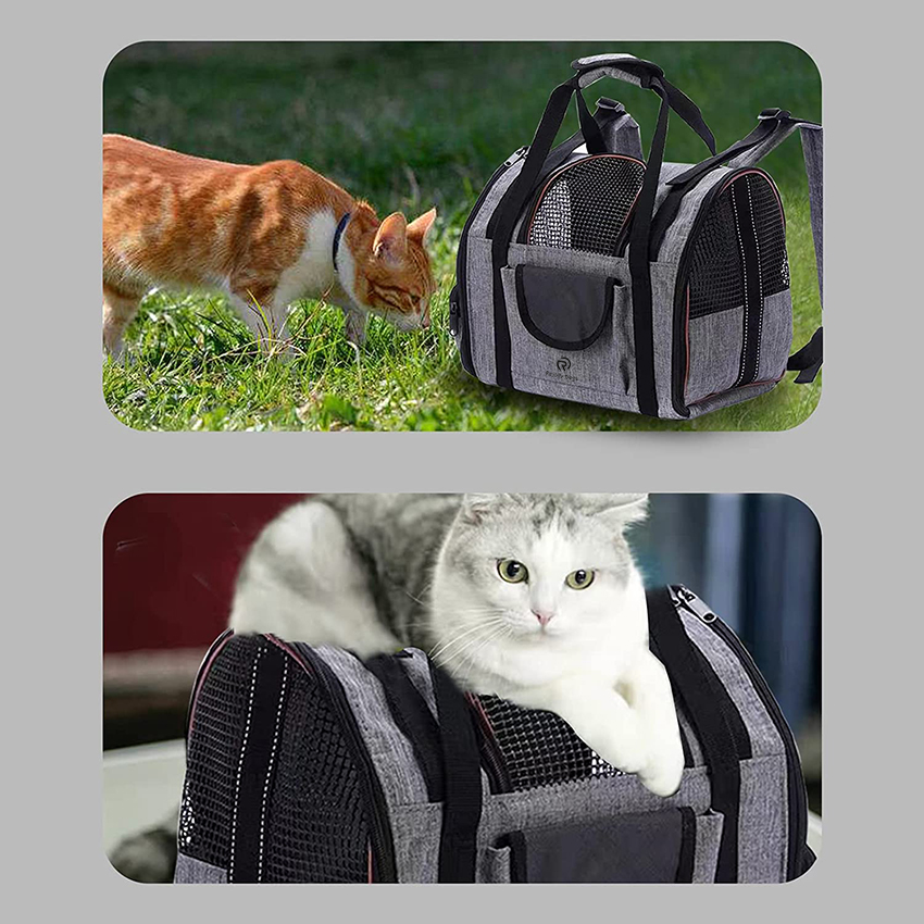 Pet Travel Carrier Backpack Soft-Sided Mesh Pet Bubble Backpack Collapsible Travel Handbag Pet Bag RJ20694