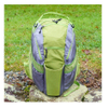Wholesale Frisbee Golf Backpack Disc Golf Bag Custom Dog Pet Products Bag