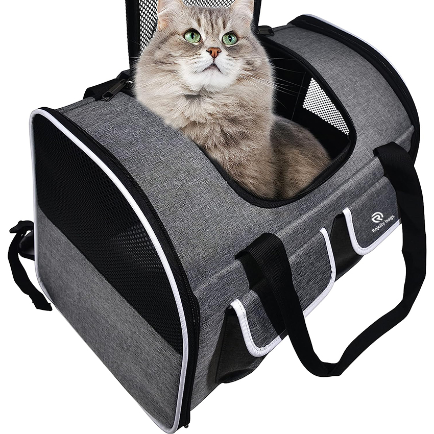 Pet Carrier Airline Approved Dog Carrier Cat Carrier for Small Medium Dogs, Medium Large Cats, Dog Bag for Travelling, Dog Carrying Bag Pet Bag RJ20695